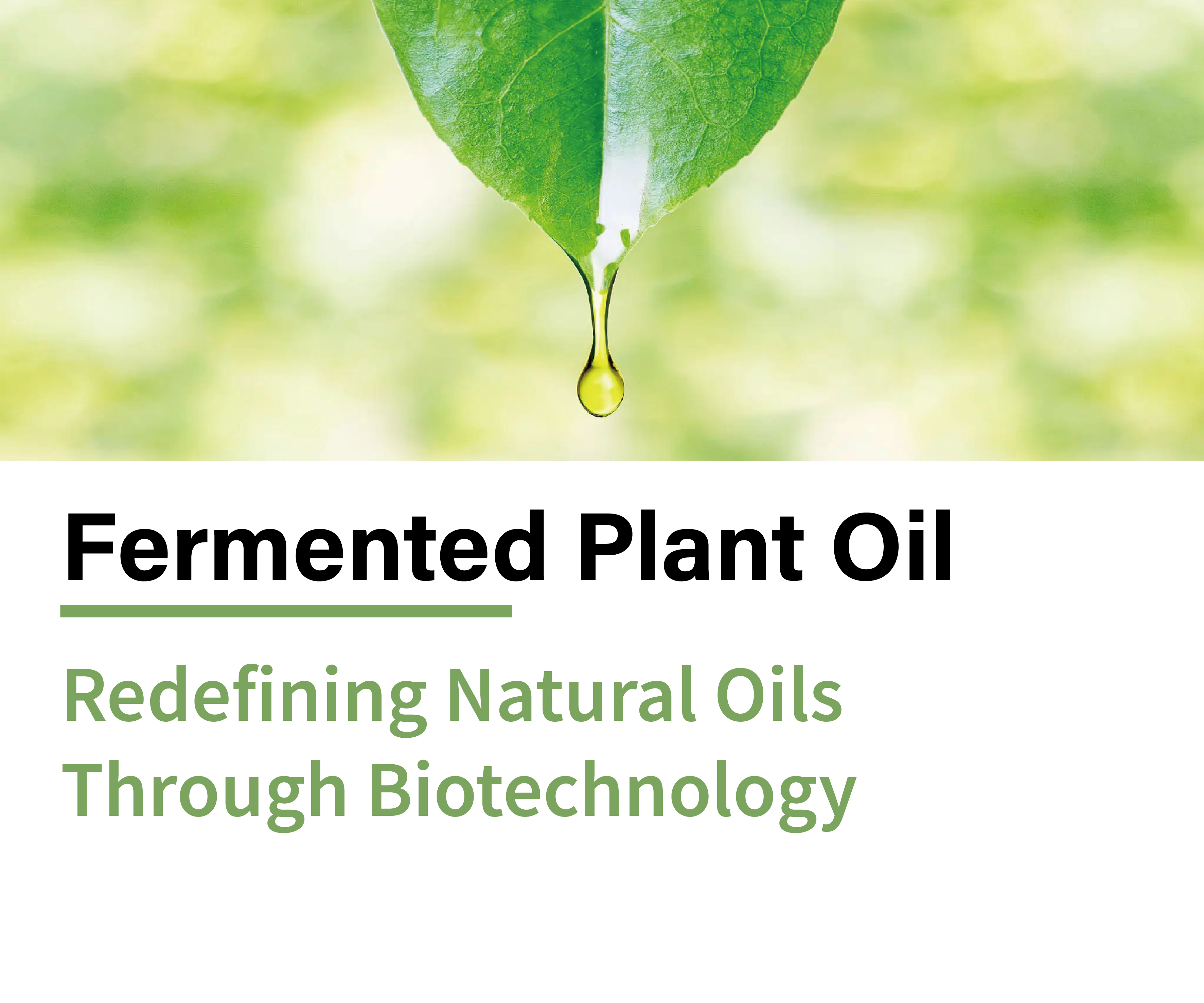 Fermentert planteolje
