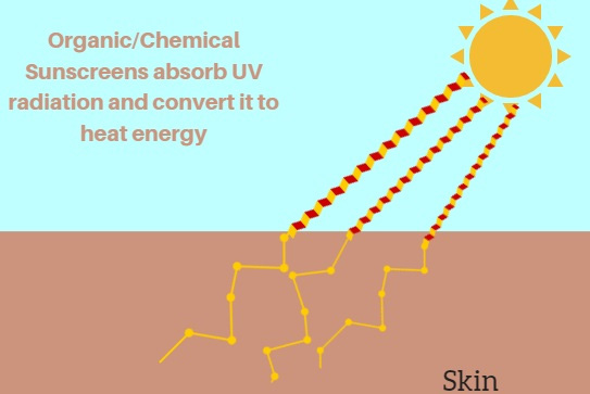 Bộ lọc UV trong thị trường kem chống nắng1