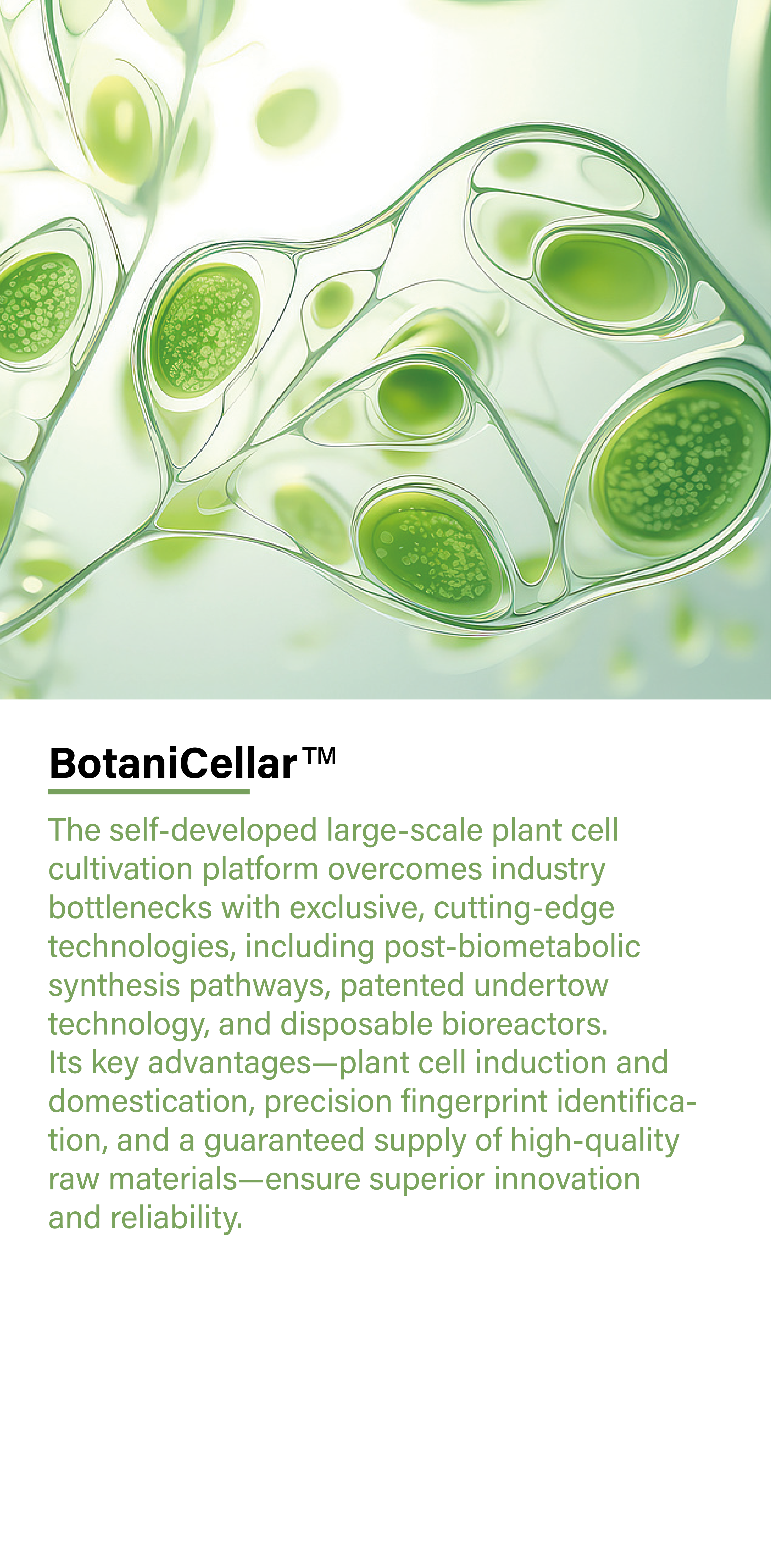 BotaniCellar01