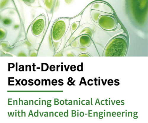 Ствалавыя клеткі раслін1