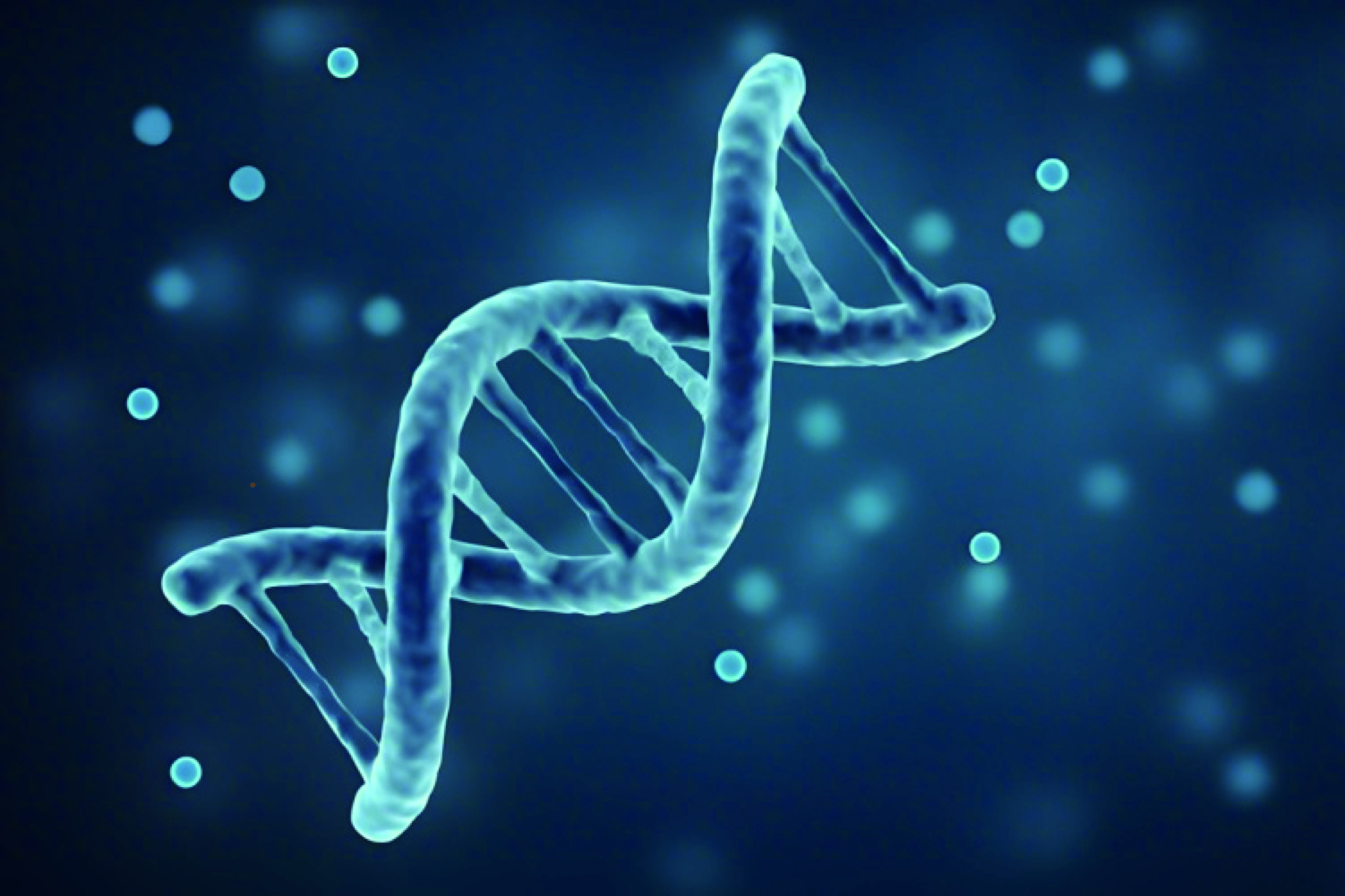 R-PDRN News