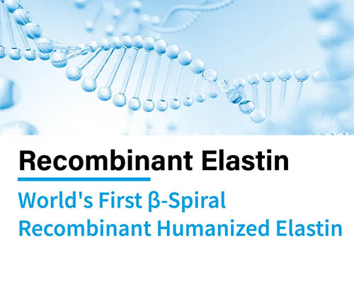 Rekombinowana elastyna