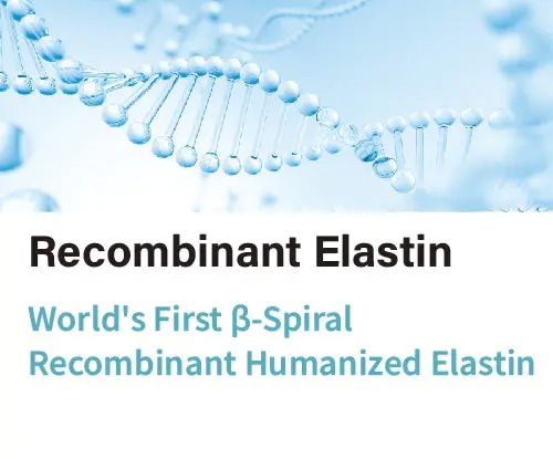 elastin toe fa'afouina