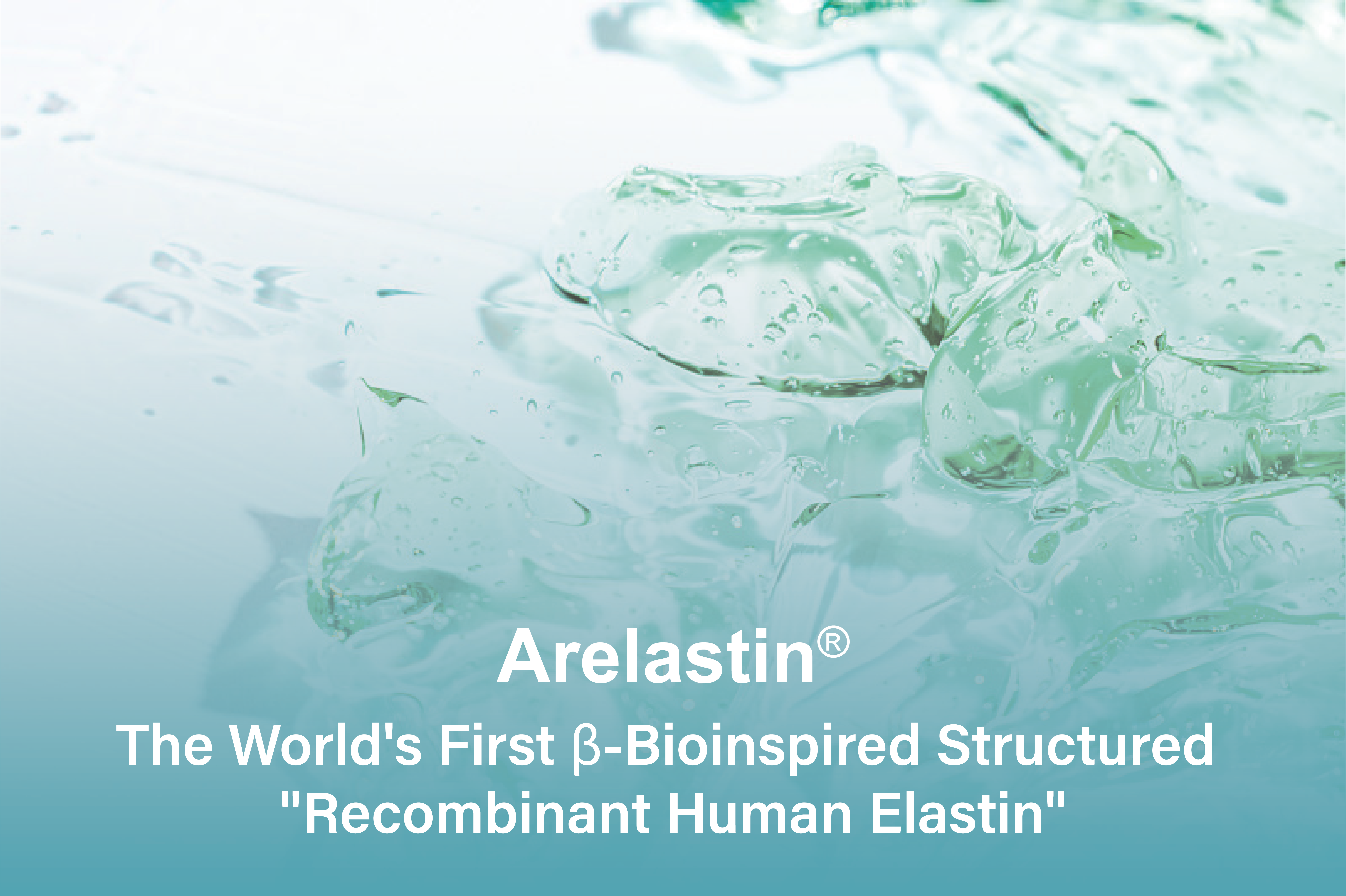 弹性蛋白பேனர் 分层 [已恢复]3